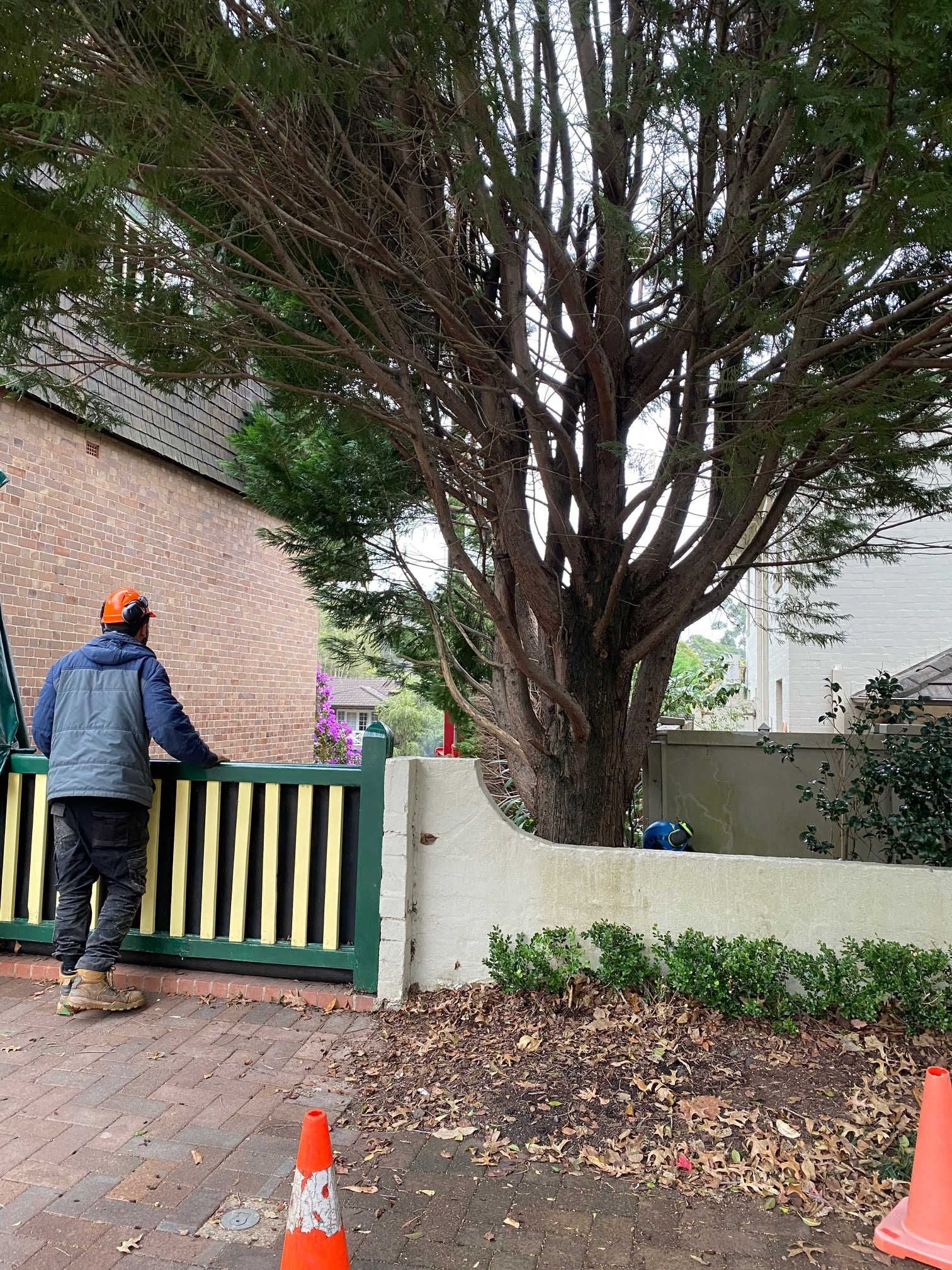 Heritage Related Services Image -5edf1115b6c31